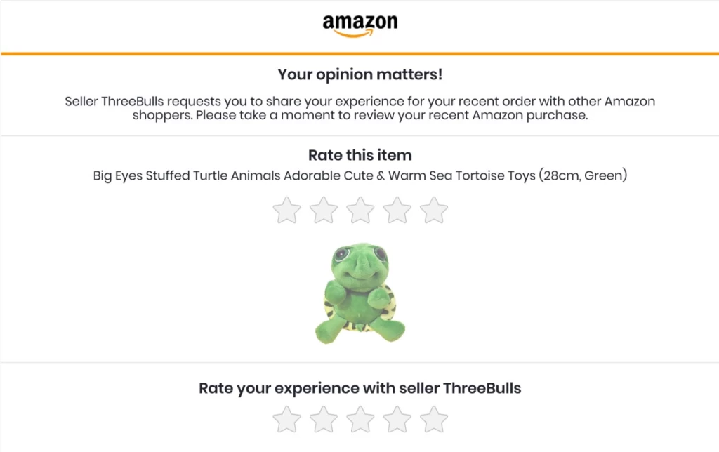 Amazon review screen